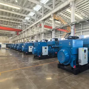High Voltage Electrostatic Generator Single Phase AC Generator 50 60hz Data Center 1650kva Diesel Generator