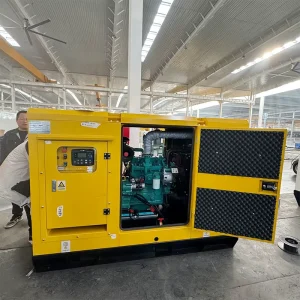 Home Generator 20KW 30KVA 220v 60hz Three Phase Diesel Generator Famous Brand with Stable Power