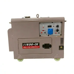 Home Silent 5kW Portable Auto Start Diesel Generator 50Hz 60Hz High Efficiency