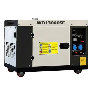 Home Use Diesel Generator 10kw Portable Silent Type AC Single Three Phase 50 60Hz Frequency Electric Start Diesel Generator