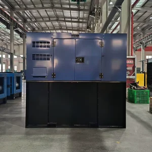 Home Use EPA Larger Fuel Tank 20kw 30kw Diesel Generator Set 30kva 50kva Silent with Perkins and ATS Soundproof Canopy