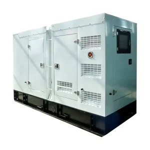 Hospital Standby Power 100kVA 80kW Fuel Saving Diesel Generator High Efficiency 3 Phase 50Hz 60Hz Genset