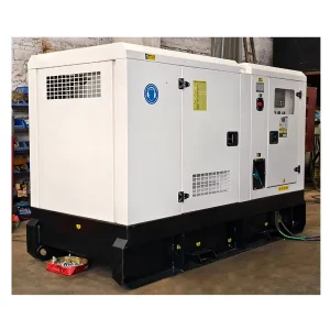 Household Diesel Generators 40kW 50kva Complete Diesel Generator Sets With Silent Canopy for Construction and Home Use