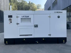 LETON POWER Engine powered Yangdong 60kW 80kVA 100kVA Diesel Generator Set Auto Start ATS 50 60Hz Silent Type