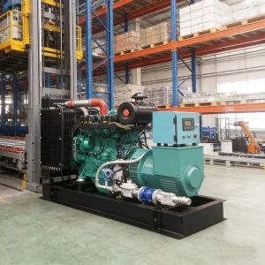 Long Service Life 100 KVA Propane Gas Biogas Natural Gas Generator 80kW 100KVA Silent LPG Generator
