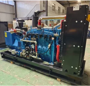 Low Emission Diesel Engine Generator Suitable for Commercial Buildings and Industrial Plants for Electricity Consumption