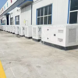 Low Noise 40kW Diesel Generator Set with High Performance Exhaust Muffler