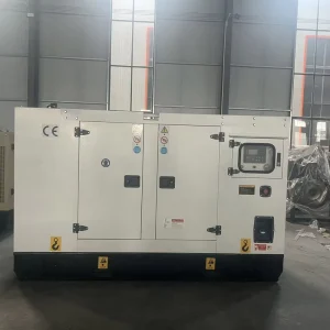 Low-Oil Shutdown 50 Kva 55kva 60kva 3 Phase Brushless Sound Proof Whole House Diesel Generators