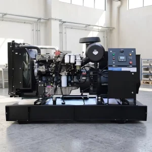 Low Open Frame for Diesel Generator Set 240kW 300kVA 50Hz 60Hz with Auto Start Remote Start Single Phase ATS