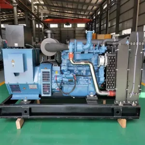 Modern Custom Made Diesel Generator Set Open Type Low Fuel Consumption Long Term Use Remote Start 230V 240V 480V Rated