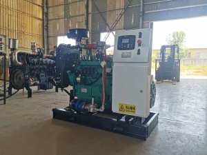 Natural Gas Biogas Generator Set 20kW Auto Start High Efficiency IP55 Water Cooled Silent Industrial Power Supply 50 60Hz