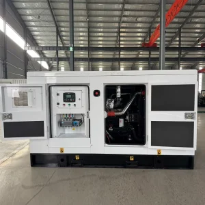Natural Gas Generators 30kva 50kw 100kw 200kw 400KVA Cummins Power Stamford Alternator LPG LNG Silent Gas Generator