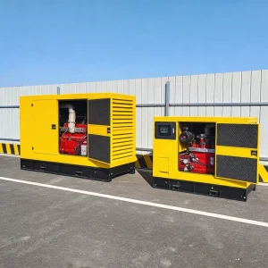 Noise Reduced Open or Silent 30kW 40kW 50kW Natural Gas Generator 60kVA 80kVA 100kVA Biogas Generator LNG CNG Generator