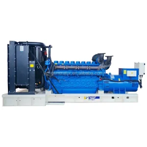 OEM 50Hz 60Hz 800kW 1000kVA Standby Prime Power Auto Start Diesel Genset Backup Power Silent Container Type with ATS Control