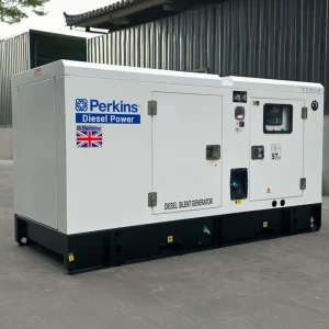 OEM ODM 30kVA 50kVA 100kVA 125kVA 150kVA 200kVA Silent Diesel Generator Powered by Perkings Soundproof Groupe Electrogene Diesel