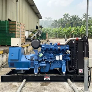 Open Frame 450KW Diesel Generator 562.5KVA 3Phase 50Hz Euro3 Heavy Duty Continuous Operation
