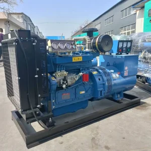 Open Frame 62.5kVA 50 60Hz 50kW Silent Diesel Generator with Super Silent Option Water Cooled Portable Design 24V DC Start