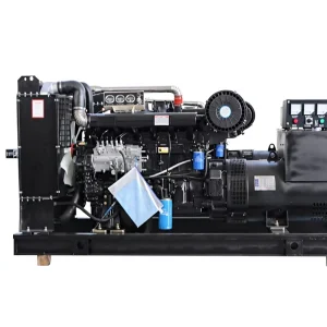 Open Frame Three Phase Diesel Generator 50Hz Frequency 400V Rated Voltage DC Silent 1500RPM Auto Power Supply Ranging 300KW