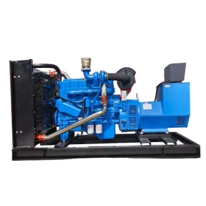 Open and Silent Type Diesel Generator 140kW 175kVA 50Hz with ATS for Data Center Emergency Standby Power