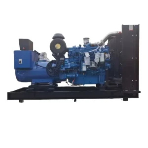 Open and Silent Type Diesel Generator 250kW 313kVA 50Hz/60Hz with ATS for Data Center Emergency Standby Power