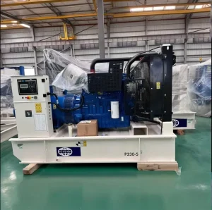 Original Fg Wilson Generadores P200 50/60Hz 230/400V Diesel FG Willson Generator ATS 1 Phase/3 Phase Open Frame