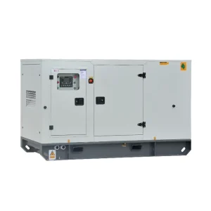 Per Kins 45kVA Silent Diesel Generator Set