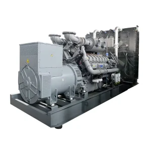 1000kva Heavy Duty Silent Type for Industrial Diesel Generator Continuous Prime Power 50 60Hz 3 Phase