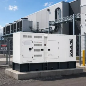 Perkins Engine 300KVA 240KW Silent Diesel Generators 300kva Generator diesel 240kw diesel Generator Set Brushless Generator