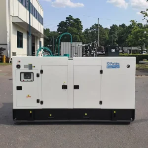 PerkinsDiesel Engine Genset Auto Start 250kw 350kw Silent Portable Generator CE Approved 300kva Rated Voltage 240v ATS Options