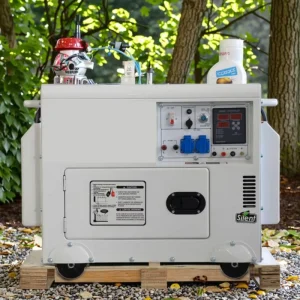 Portable 10kw Diesel Generator Super Silent with ATS 1500 RPM Single Three Phase 110V 220V 380V 50 60hz 230V Rated Voltage