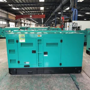 Portable 20kva 30kva 60kva Diesel Generators 220v 380v Electric Start Super Silent ATS German Technology Water Cooling