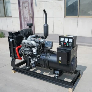 Portable 50kW 50Hz Brushless 400V 12V DC Electric Start Water Cooled Open Frame Generator with ATS and Remote Control
