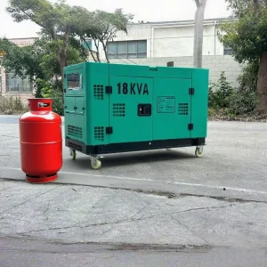 Portable 5kVA Silent Diesel Generator 5000W ATS 100% Copper Alternator Air Cooled LPG Generator