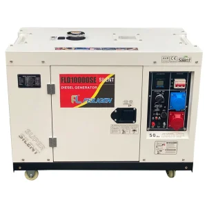 Portable 9KW Silent Diesel Generator with FL Engine 1500rpm Single Phase 220V 50 60Hz ATS Soundproof Canopy
