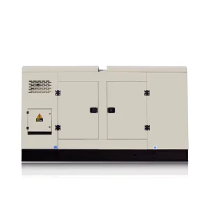 Portable Diesel Generator 20KVA 25KVA 40KW Auto Start Open Frame ATS Remote Start