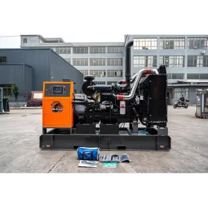 Portable Diesel Generator for Home 10kva 10kw 15kw 18kw Alternator Diesel Generator 10kw 220v