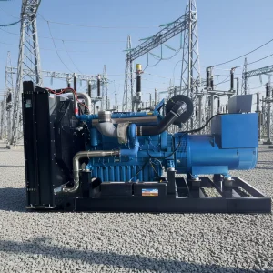 Portable Open Power Electric Diesel Inverter Generators 20Kw 100Kw 50 60Hz Frequency ATS Single Phase Silent Diesel Generator