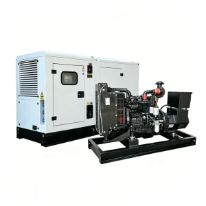 Portable Silent Diesel Generators for Engine 12kW-500kW Commercial Emergency Mobile Power ATS 12 Months Warranty