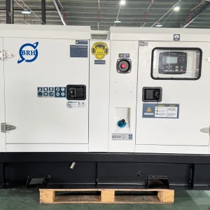 Power Start 10kw 50/60Hz Auto Start Super Silent Air-cooled Diesel Generator for Commercial Use