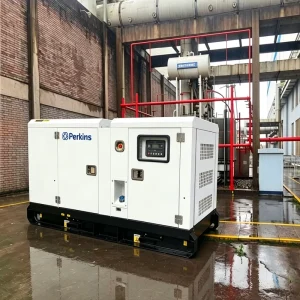 Power Station Generador Electrico Generator Diesel Silent Perkins Generator Dynamo Genset Silencieux Standby Power