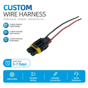 Private Label Original Auto Automobile Plug 20231214 Fusebox Tyco Connector 2 Pin Ignition Wire Harness