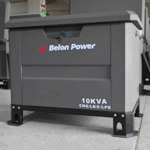 Professional Manufacturer 30KVA Tri Fuel Generator LPG CNG LNG Air Cooled Remote Start Standby Power 10KVA 15KVA 20KVA 25KVA