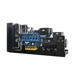 Pulita 400kw/500kva LPG LNG CNG Biogas Natural Gas Silent Generator