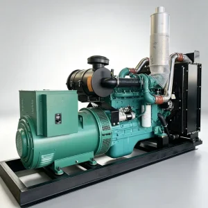 QSM11 G1 200kW 250kVA Open CE ISO9001 Diesel Generator Set for Manufacturing Plant Emergency Power 50 60Hz