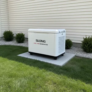 Rated Generac Type 8KW Natural Gas and LPG Generator For Home With Remote Start And Automatic Transfer Switch