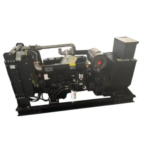 Ricardo 100KW 125KVA 60hz Open Frame Diesel Generator Set Durable Easy Maintenance Continuous Power for Farm Construction