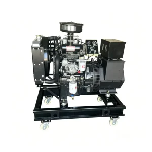 Ricardo 15KW 18.75KVA 50hz Silent Diesel Generator Set Low Noise Energy Saving Standby Power for Villa Small Shop Home Use