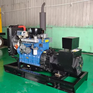 Ricardo 16KW 80KW Diesel Generator Set Auto Start ATS Open Frame 220V 230V