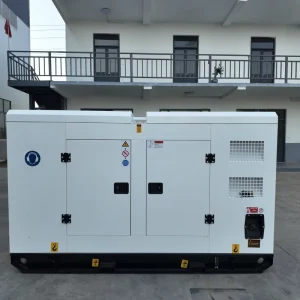Ricardo 20kW 25kVA Silent Diesel Generator 1&3 Phase 220V 380V ATS Auto Start Water Cooled Home Small Business Standby Genset