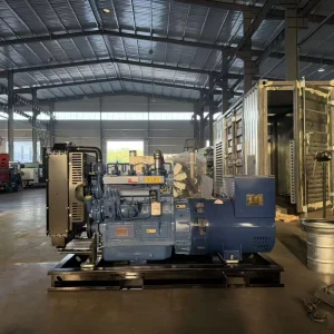 Ricardo 20kW 30kW 40kW 50kW Silent Diesel Generator Set for Factory Fire Protection Hotels and Schools